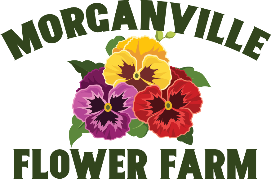 Morganville Flower Farm